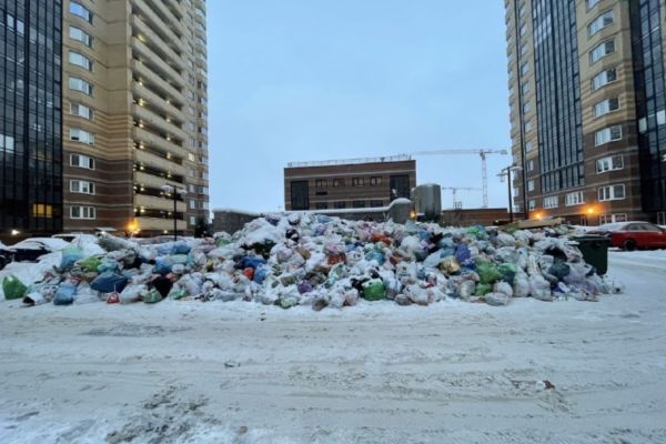 Петербуржцы жалуются на не вывезенный мусор и крыс