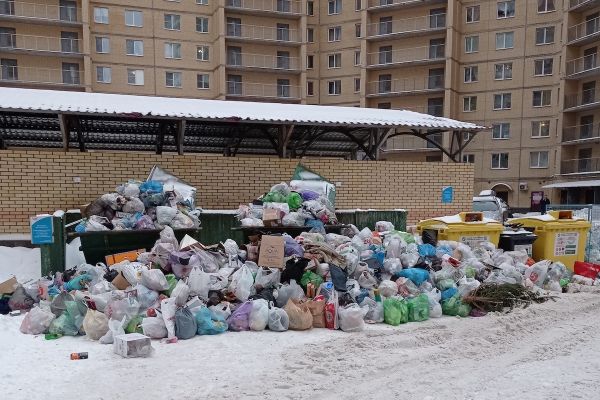 Мусорный коллапс в Петербурге уничтожает экологию города