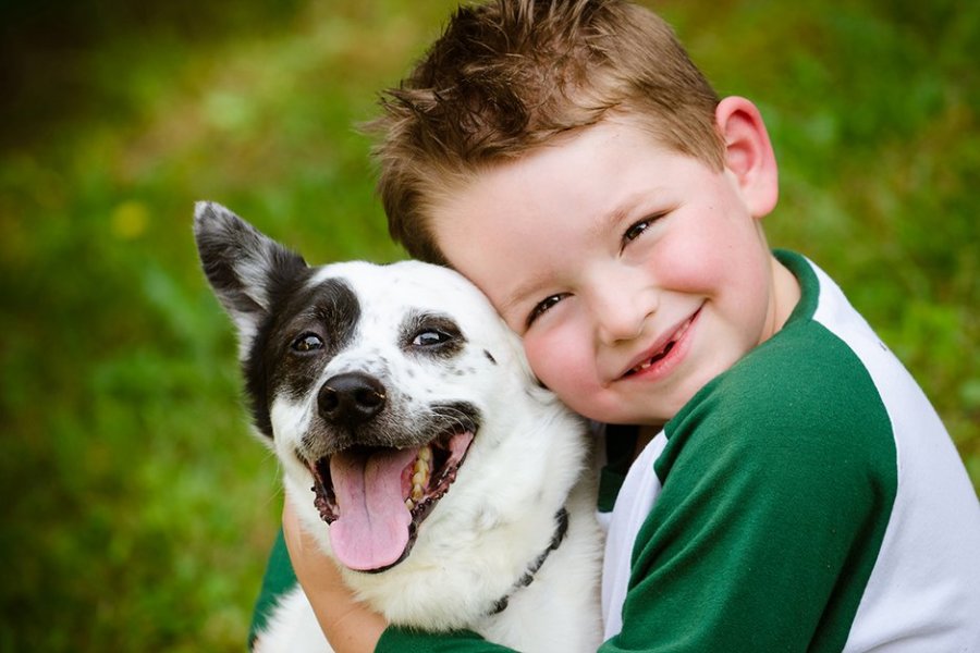 Собаки детей делают общительнее со сверстниками на 23%
