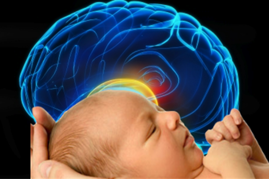 Нарушение сенсорных функций. Мозг ребенка. Нервная система ребенка.