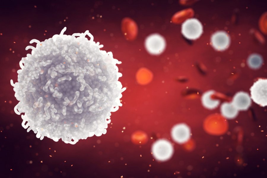 Ученые обнаружили способность COVID-19 изменять клетки крови