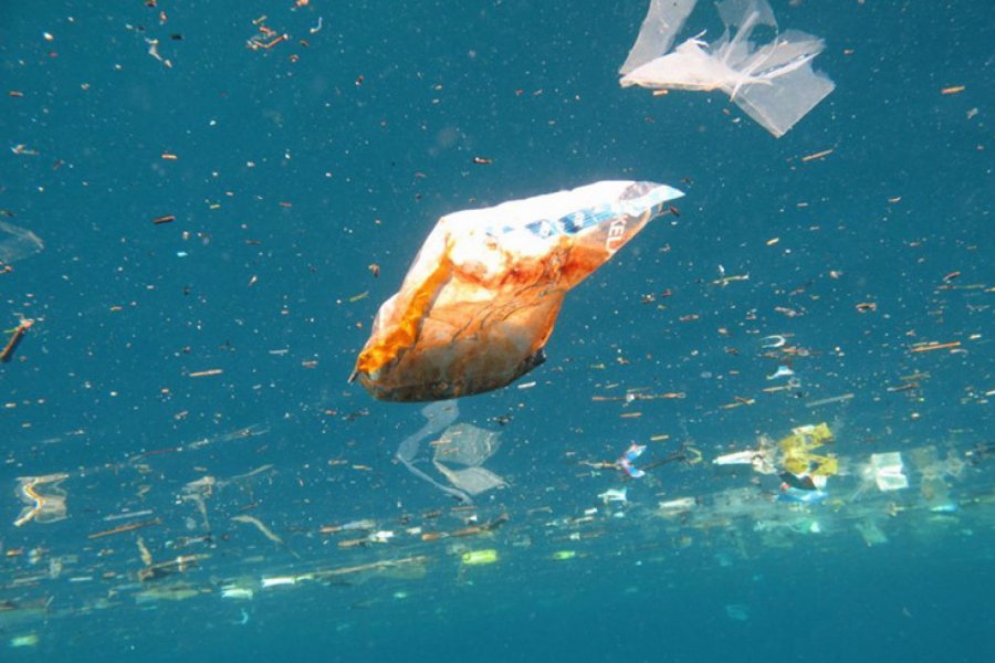 Микробиолог: В мусоре в океане образовалась пластосфера