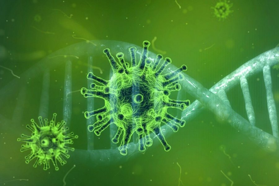 Иммуногенетик Кашаба рассказал, какой ген содержит в себе новый вариант коронавируса