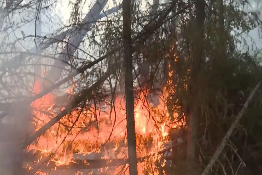 «Из окна видно зарево»: в РФ горят 55 тысяч гектаров леса