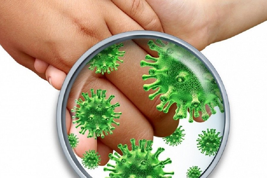 Шведские ученые: контакт с микробами в детстве не защищает от аллергии